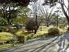 hamarikyu_0023_mini.jpg