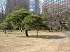 hamarikyu_0038_mini.jpg