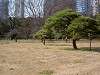 hamarikyu_0039_mini.jpg