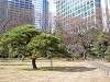 hamarikyu_0042_mini.jpg