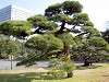 hamarikyu_0044_mini.jpg