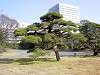 hamarikyu_0046_mini.jpg