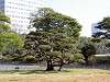 hamarikyu_0047_mini.jpg