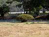 hamarikyu_0048_mini.jpg