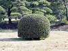 hamarikyu_0049_mini.jpg