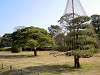 hamarikyu_0051_mini.jpg
