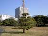hamarikyu_0052_mini.jpg