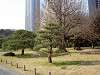 hamarikyu_0053_mini.jpg