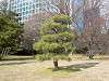 hamarikyu_0054_mini.jpg