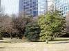 hamarikyu_0055_mini.jpg