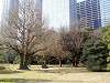 hamarikyu_0056_mini.jpg