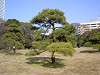 hamarikyu_0057_mini.jpg