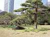 hamarikyu_0063_mini.jpg