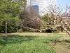 hamarikyu_0065_mini.jpg