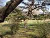 hamarikyu_0068_mini.jpg