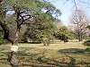 hamarikyu_0069_mini.jpg