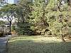 hamarikyu_0071_mini.jpg