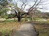 hamarikyu_0074_mini.jpg