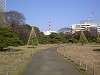 hamarikyu_0078_mini.jpg