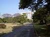 hamarikyu_0080_mini.jpg