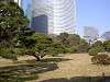 hamarikyu_0081_mini.jpg