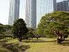 hamarikyu_0083_mini.jpg