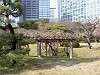 hamarikyu_0087_mini.jpg
