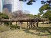 hamarikyu_0088_mini.jpg