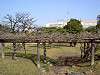 hamarikyu_0089_mini.jpg