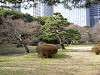 hamarikyu_0093_mini.jpg