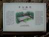 hamarikyu_0102_mini.jpg