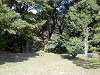 hamarikyu_0105_mini.jpg