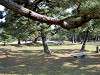 hamarikyu_0109_mini.jpg