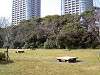 hamarikyu_0110_mini.jpg