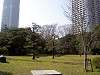 hamarikyu_0112_mini.jpg