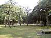 hamarikyu_0113_mini.jpg
