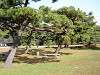 hamarikyu_0115_mini.jpg