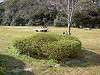 hamarikyu_0117_mini.jpg
