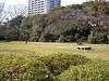hamarikyu_0118_mini.jpg