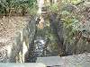 hamarikyu_0119_mini.jpg