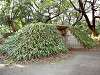 hamarikyu_0125_mini.jpg