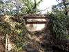 hamarikyu_0129_mini.jpg