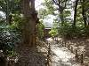 hamarikyu_0141_mini.jpg