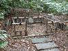 hamarikyu_0162_mini.jpg