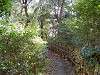 hamarikyu_0173_mini.jpg