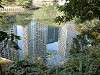 hamarikyu_0188_mini.jpg