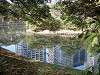 hamarikyu_0192_mini.jpg