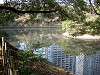 hamarikyu_0193_mini.jpg