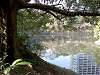hamarikyu_0194_mini.jpg