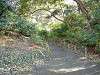 hamarikyu_0209_mini.jpg
